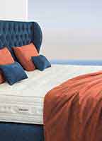 Colunex - Mattress - Pillows - Beds