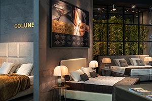 Colunex - Mattress - Pillows - Beds